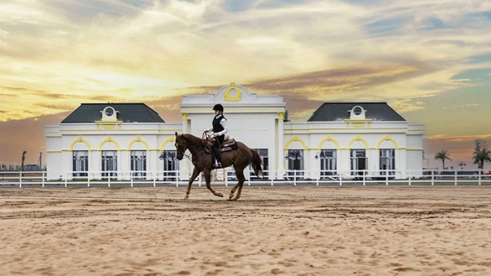 Học viện cưỡi ngựa Horse Academy
